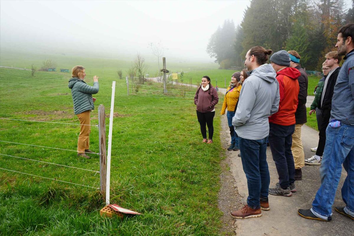 Nachhaltigkeitsaktionstag Team 2 Nachhaltigkeitsaktionstag Team 2